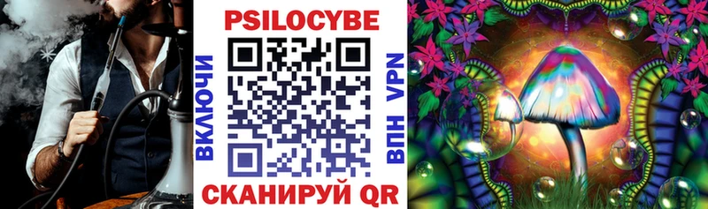 Псилоцибиновые грибы Psilocybe Евпатория