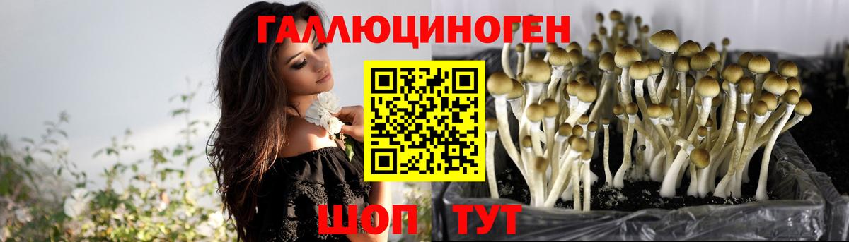 Евпатория  Псилоцибиновые грибы Psilocybine cubensis  купить наркотик  Вход с VPN 